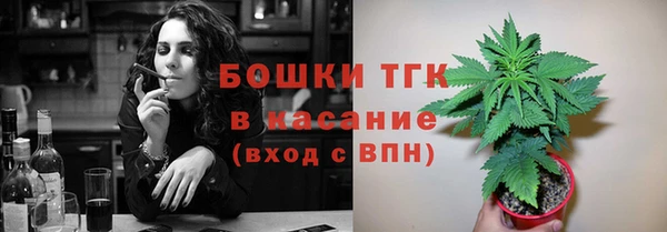 прущие грибы Вяземский